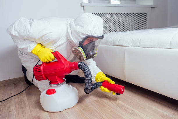 Best Local Pest Control Services  in Macon, GA