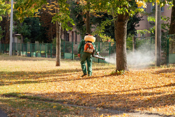 Best Best Pest Control Companies  in Macon, GA