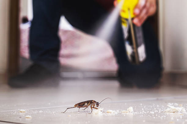 Best Bed Bug Extermination  in Macon, GA