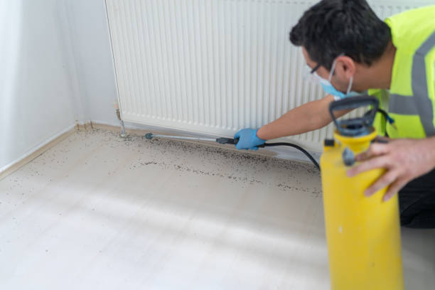 Best Affordable Pest Control Services  in Macon, GA