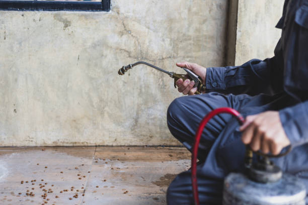 Best Pest Control Near Me  in Macon, GA